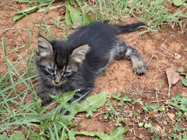 20260626_091058.jpg, hani