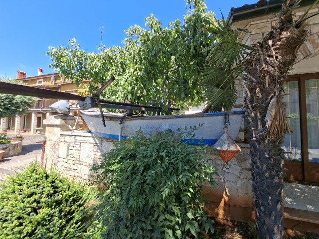 20260629_111917.jpg, batana cappellari