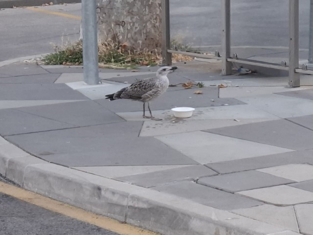 20260221_154050.jpg, tonči i voda