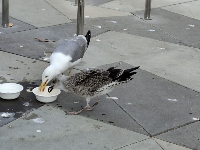 20260221_154153.jpg, tonči i mama