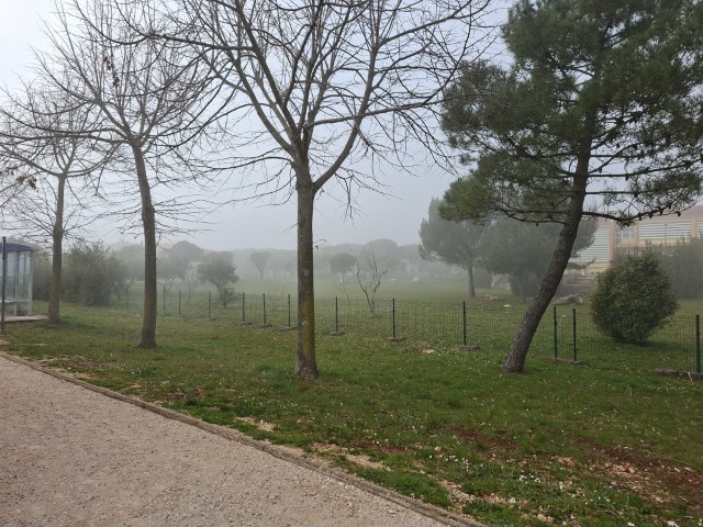 20260227_144606.jpg, parking aneks