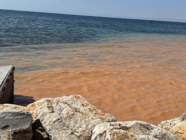 20260421_012227.jpg, blato podravka 2