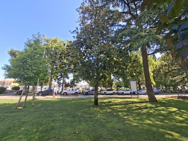 20260629_094311.jpg, park 8