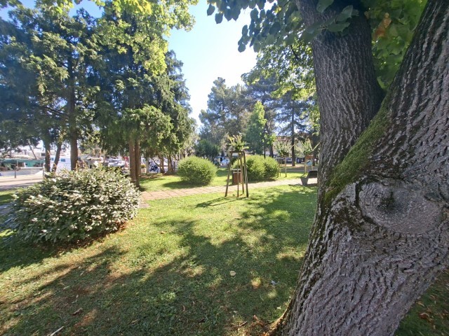 20260629_094409.jpg, park 6