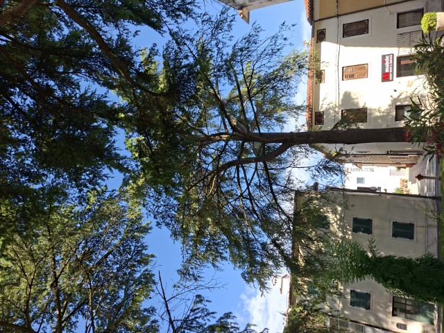 20260629_094845.jpg, park 1