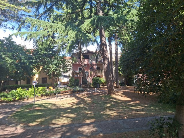 20260629_104332.jpg, park 2_1