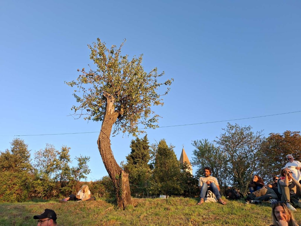 20261011_124414.jpg, atmosfera 3 , fraka&scaron;