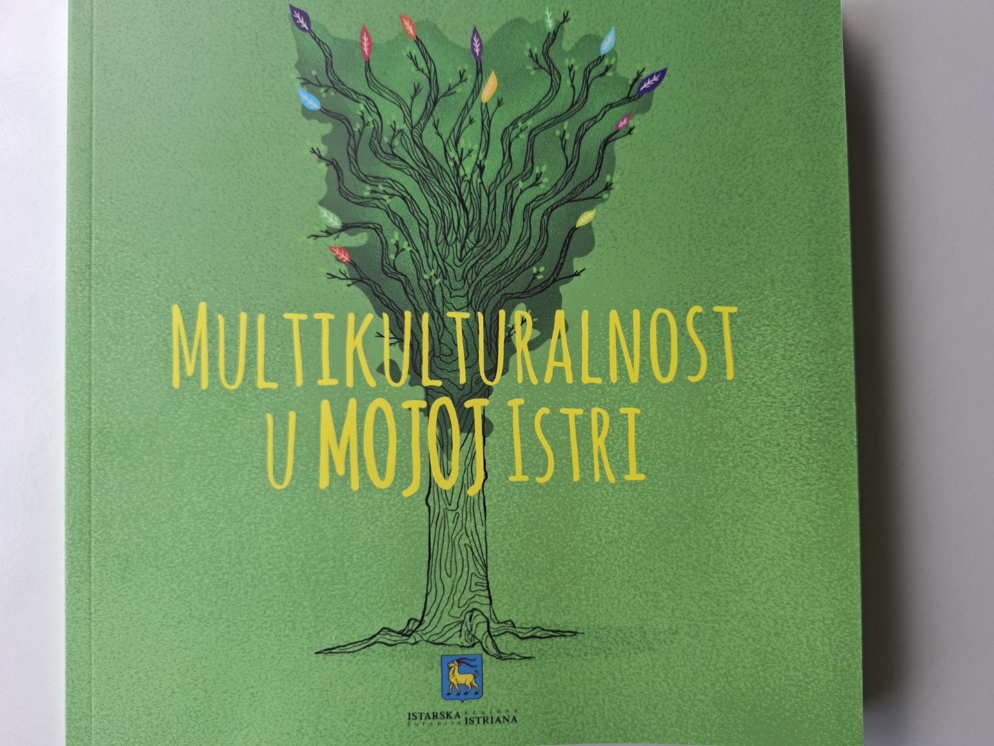 20261023_162815 (1).jpg, multikulti hr