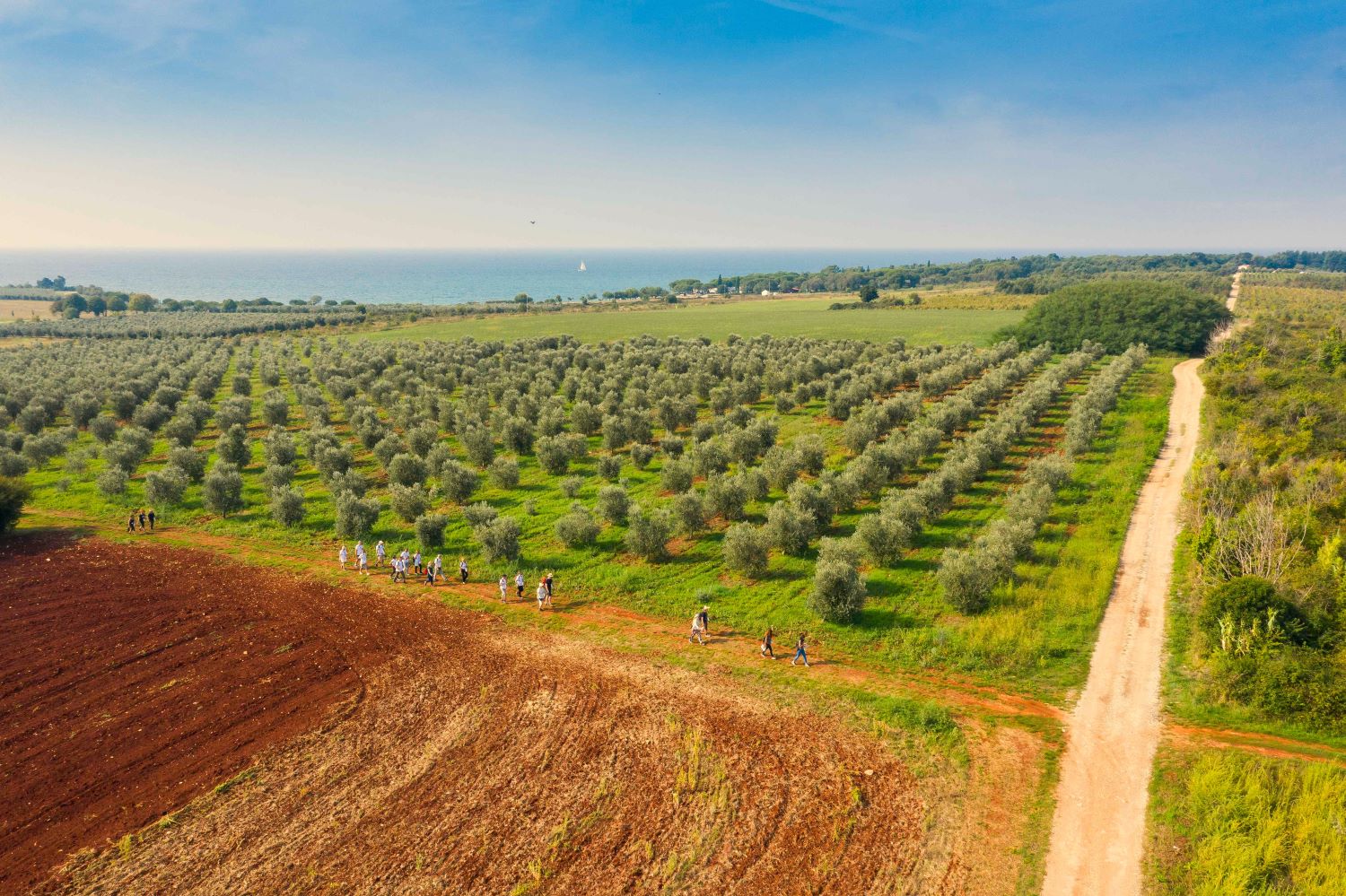 Hoditi-i-zdravi-biti_web2