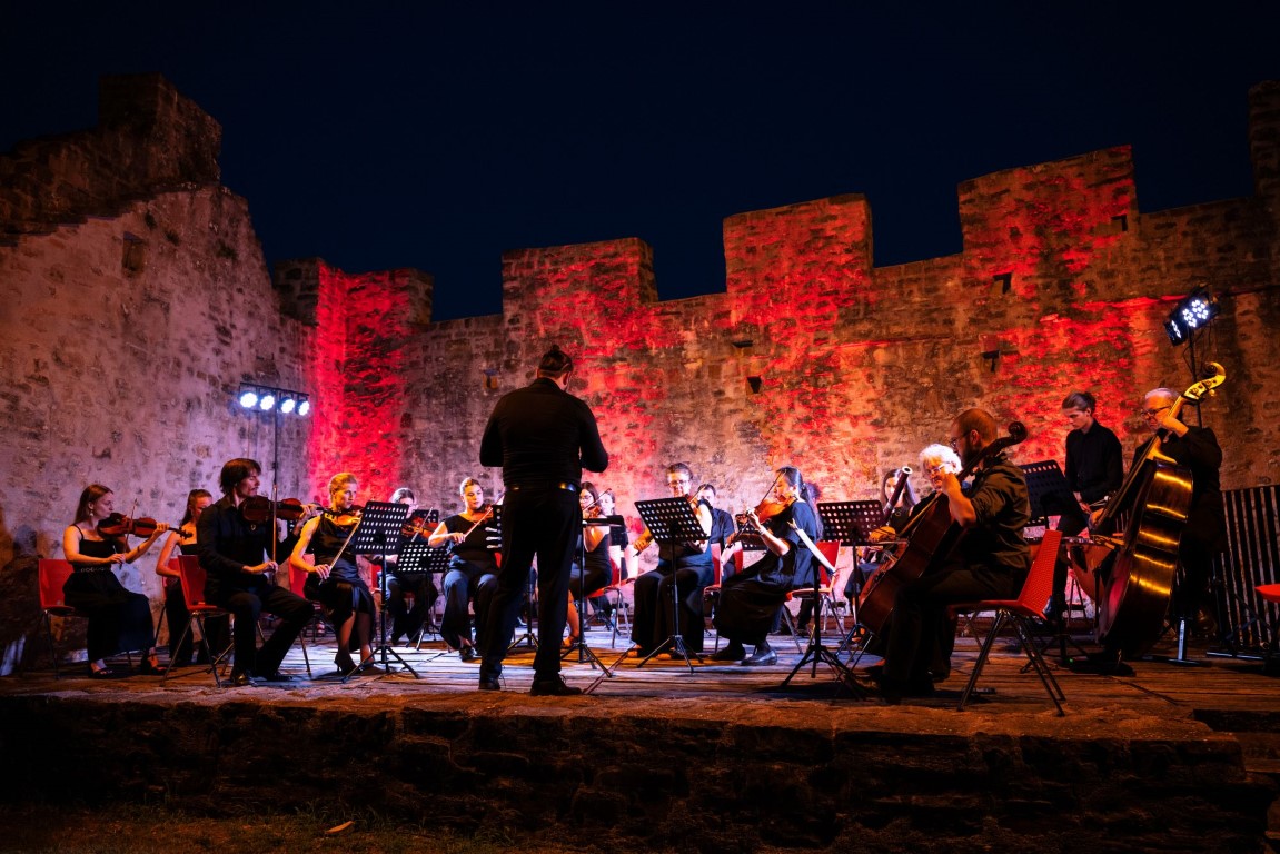 Istarski komorni orkestar (3)