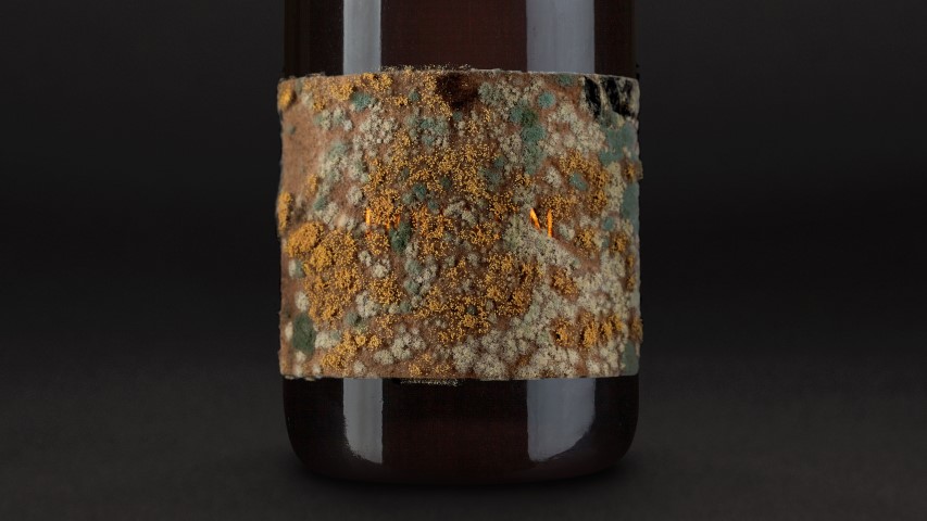 STUDIO_SONDA_Piquentum_02