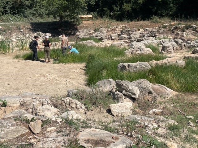 St.-Vergotini_15.07.2025-2048x1536