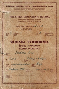 gimnazija 5