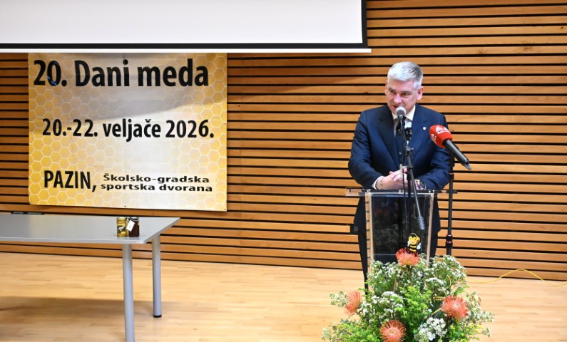 img_2 (2).jpg, dani meda