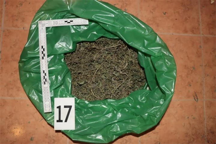 marihuana umag 3