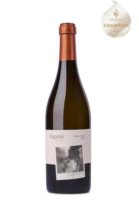 markica_zigante_verro_malvazija_2025__original