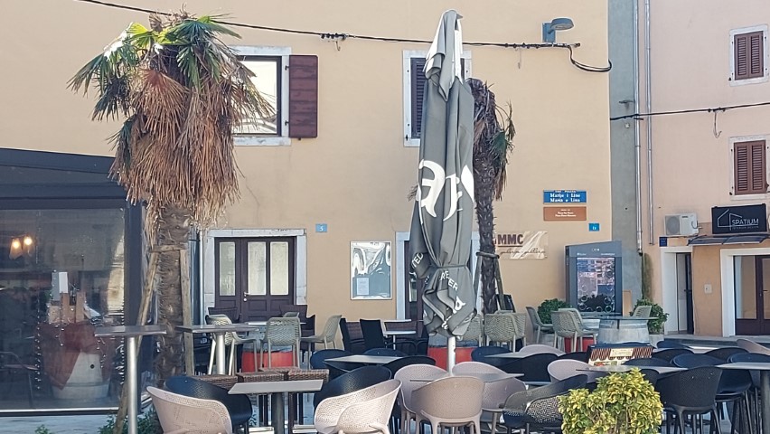 20250113_111854.jpg, palmomanija, 2