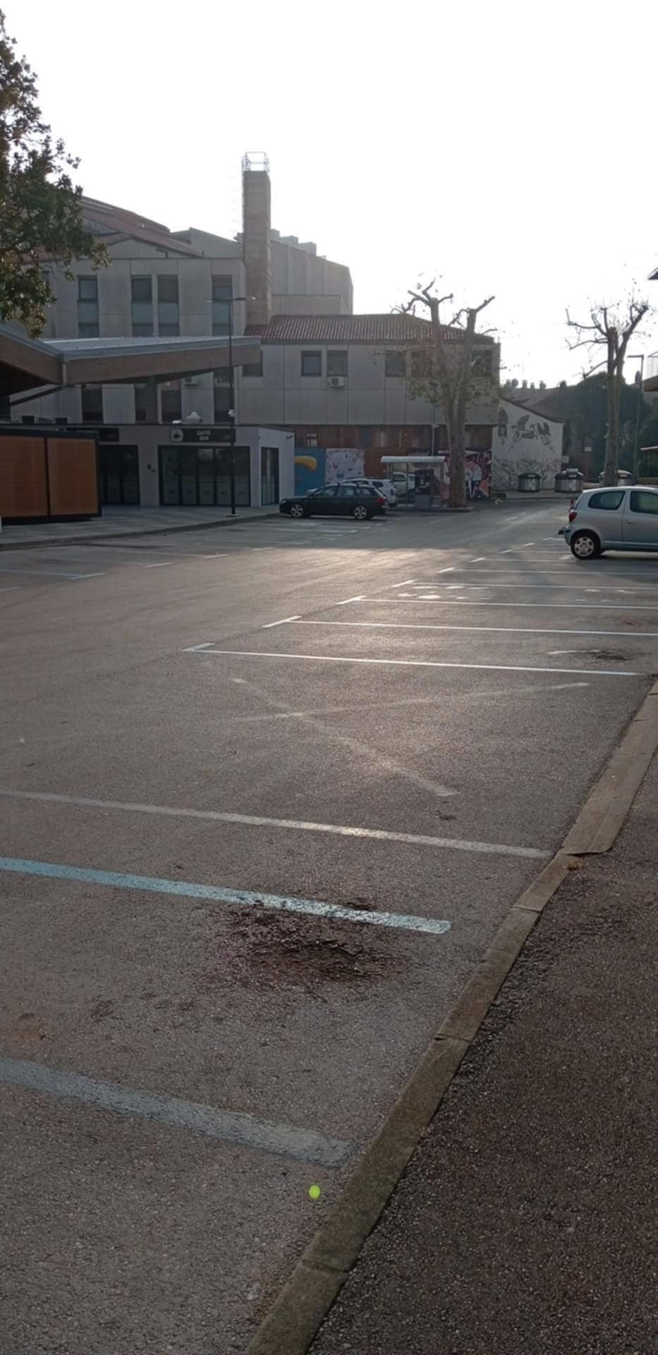 480784038_1174012394300483_1133777757938795722_n.jpg, ids, tržnica 2