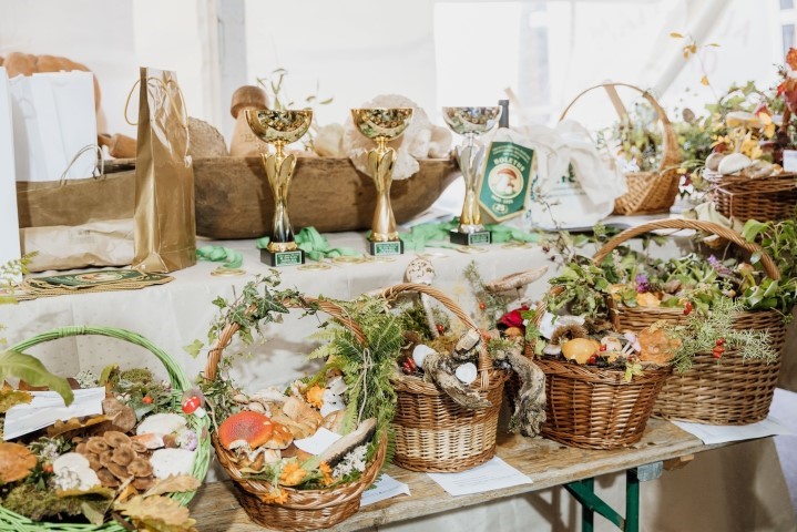 Dani gljiva u Brtonigli4