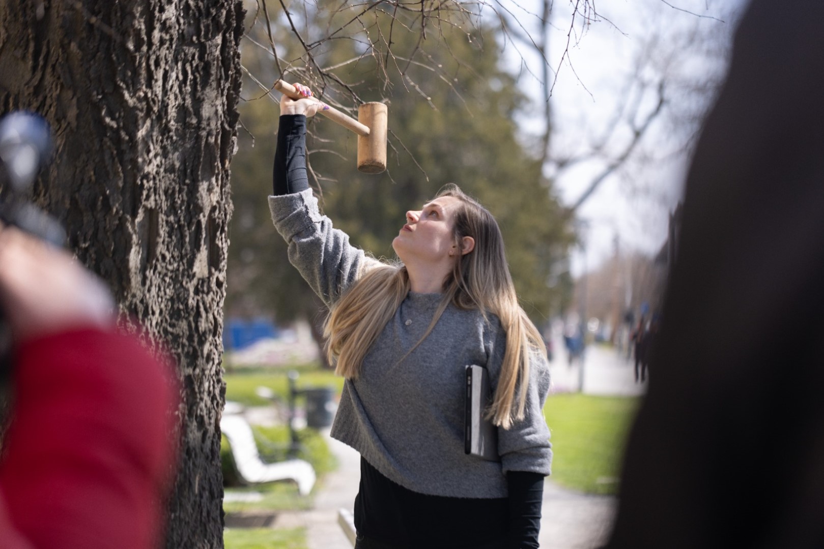 Check Trees ili kontrola stabala nova je aplikacija koju je s početkom proljeća radi povećanja brige o svojim stablima uveo Grad Osijek (2)