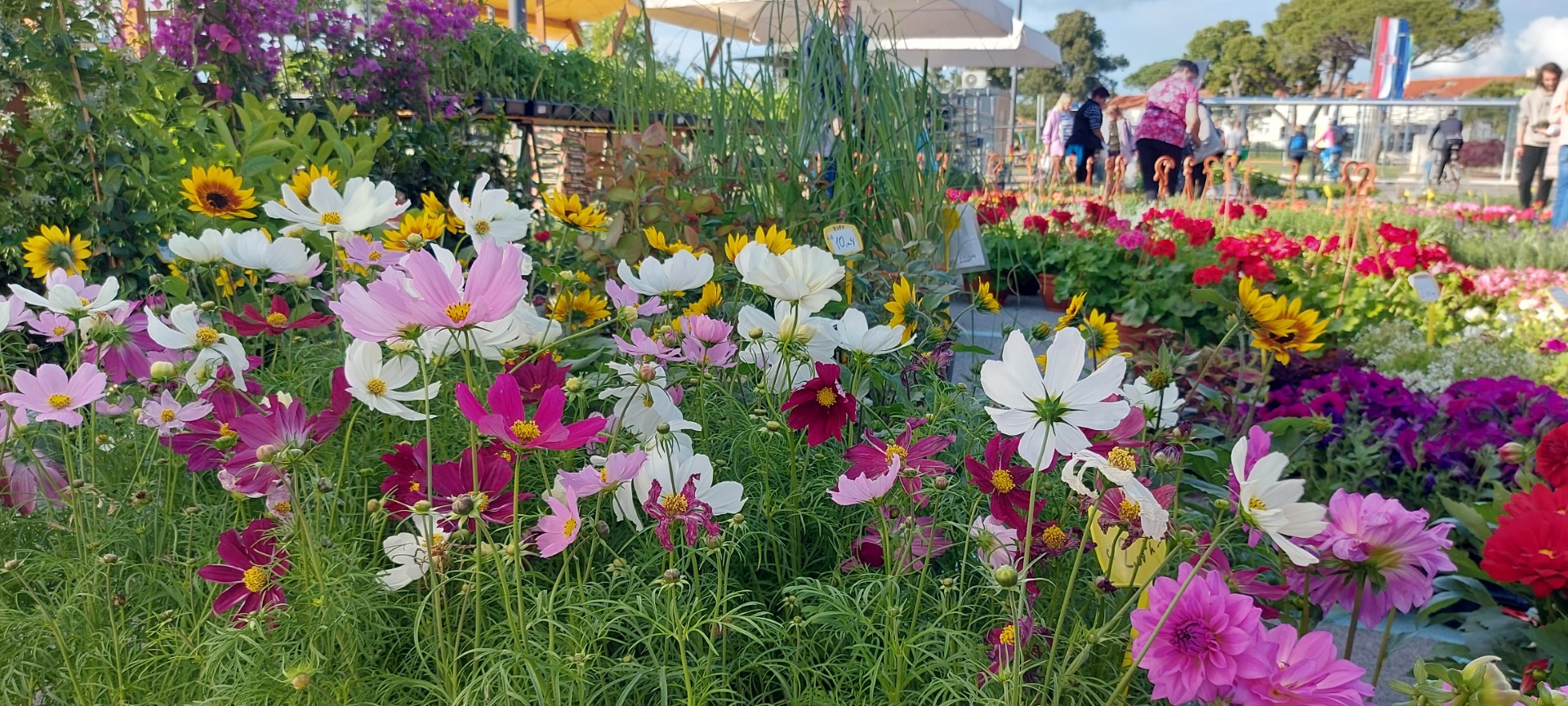 flora, 15