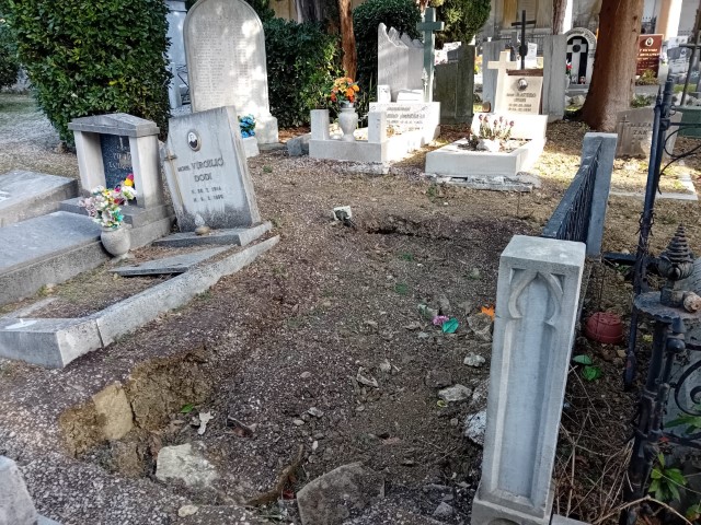 IMG-20260104-WA0001.jpg, dobrila trst 1_1