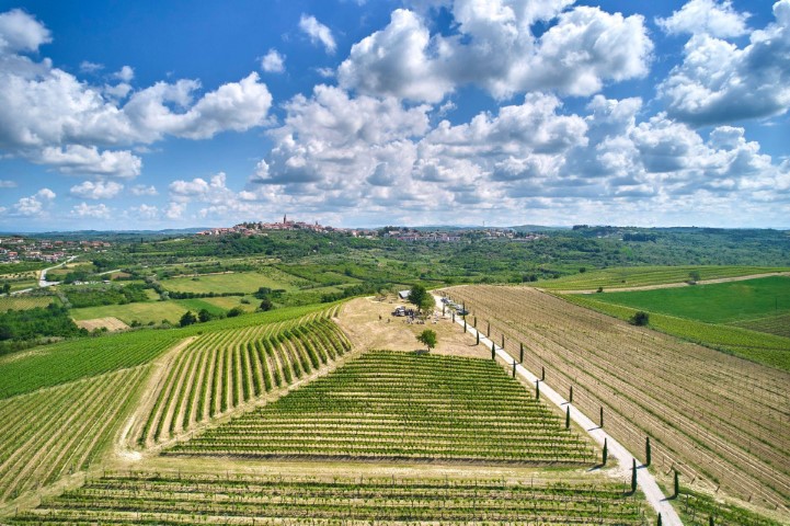Istria Wine&Walk5.jpg,25
