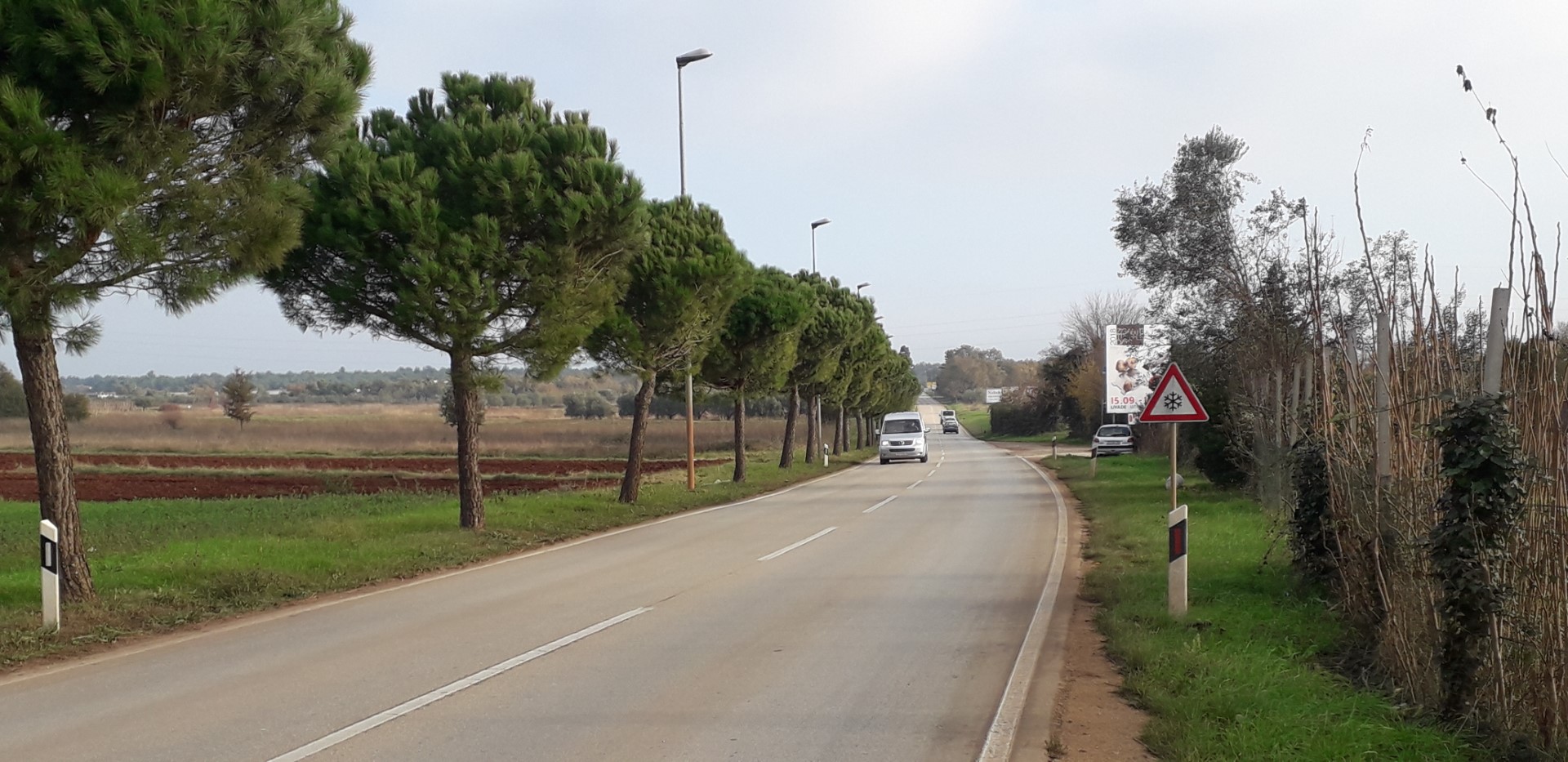 borovi, unagarija, 24