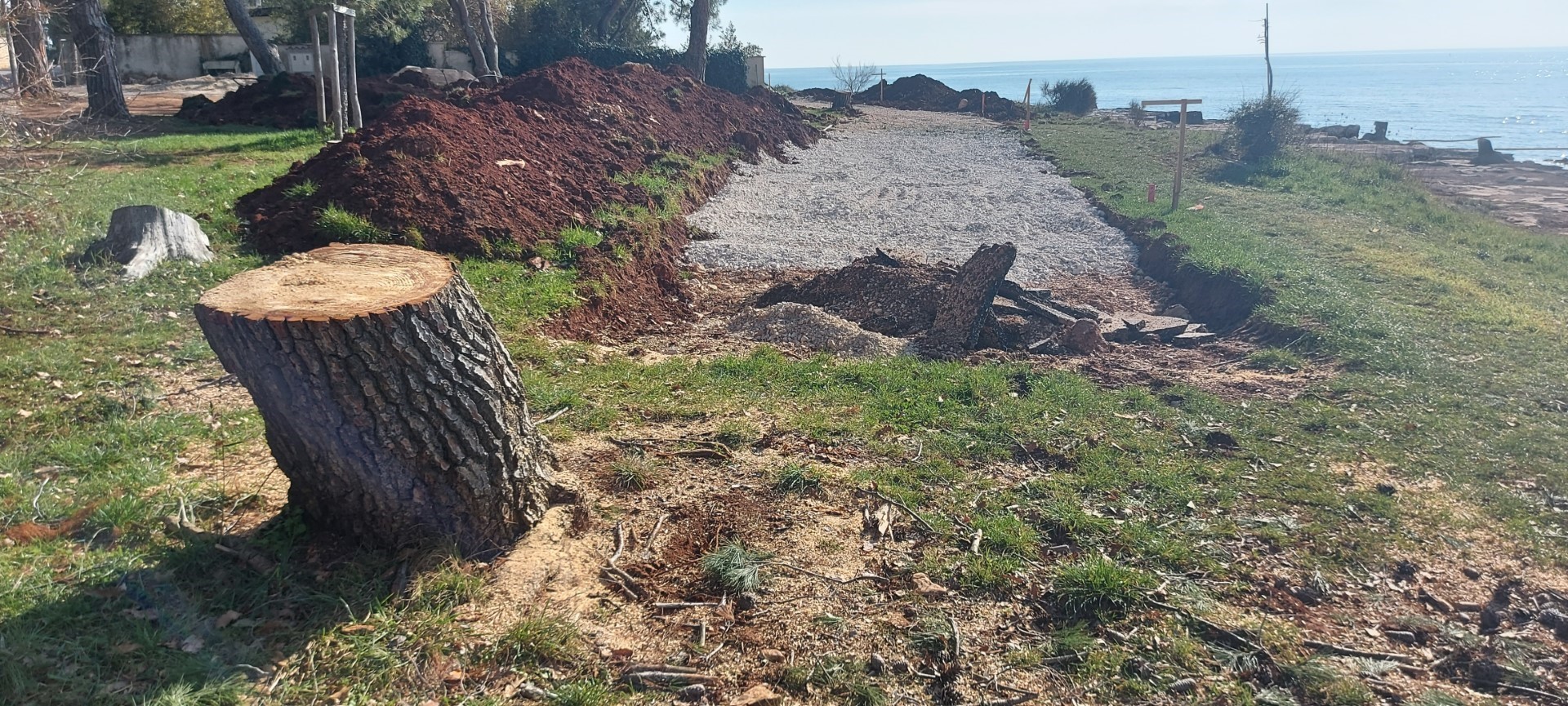 etnica pelegrin, sru&scaron;eno stablo