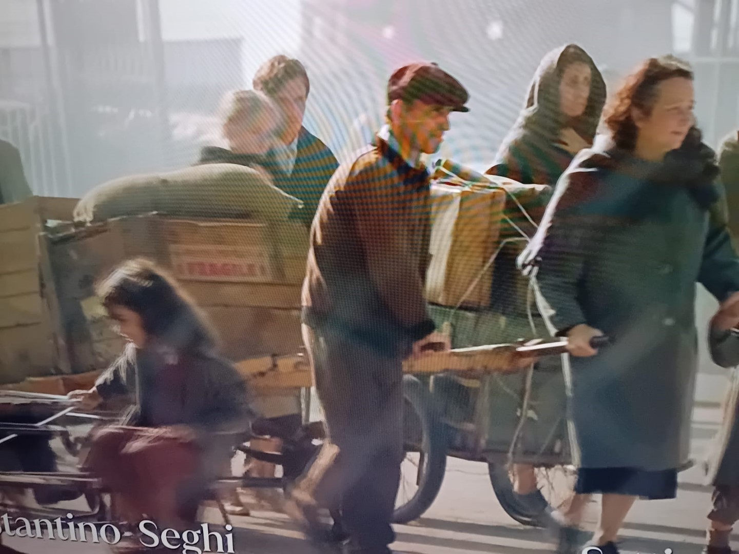 la rosa dell istria, 2_1