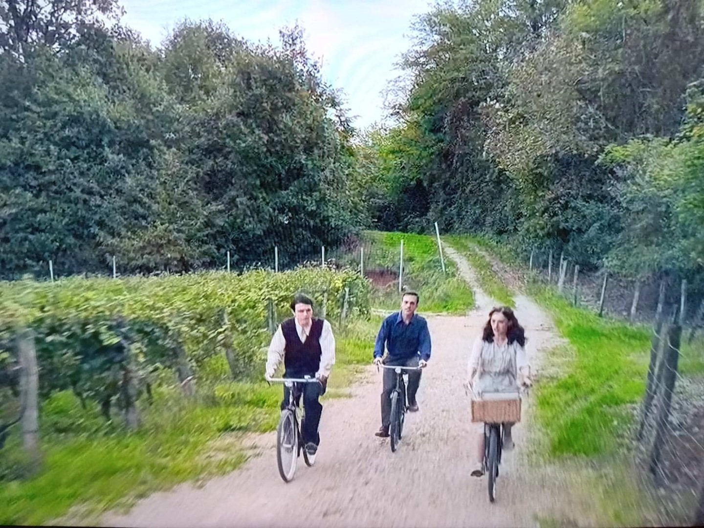 la rosa dell istria, 3