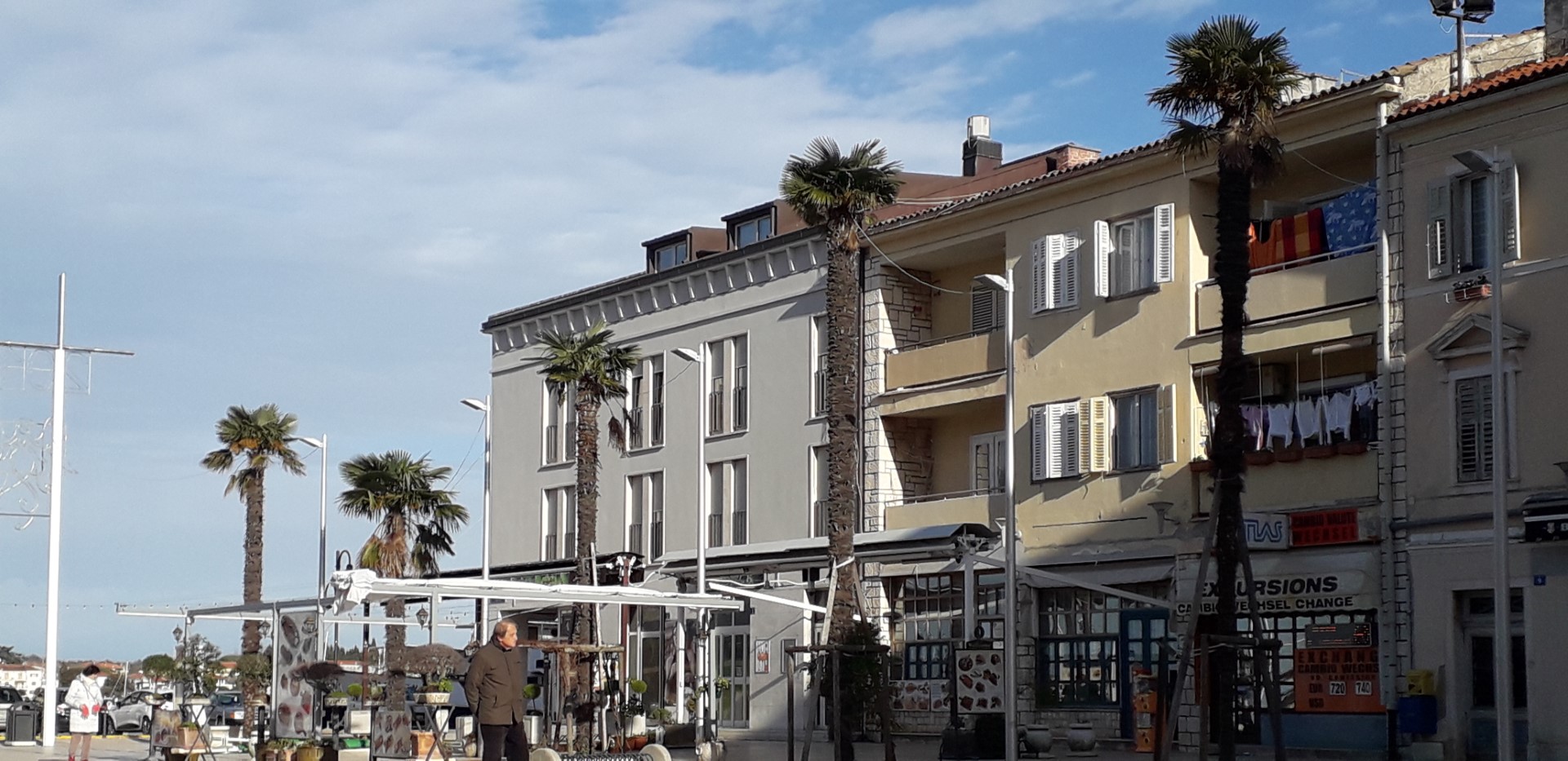 palme, quatro pelli, 24