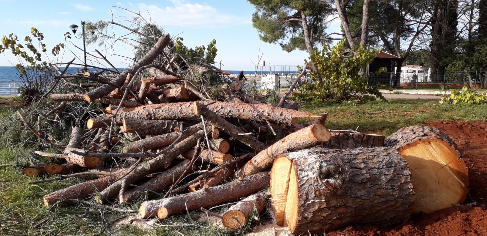 stabla kod vila rite, 24