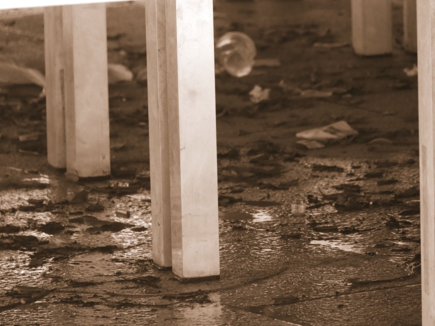 GRADSKO RUGLO Unutar elitnog naselja otkriven prizor gradskog rugla (3)