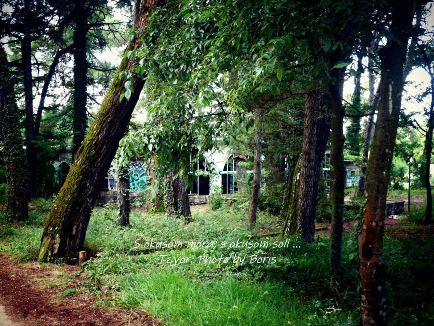 Izvor Photo by Boris (10)