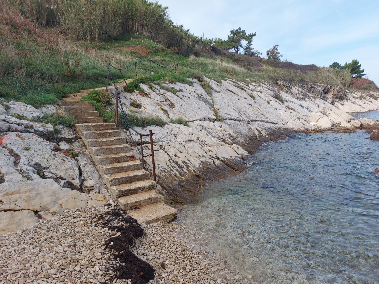 alberi, prirodna staza, 4_1