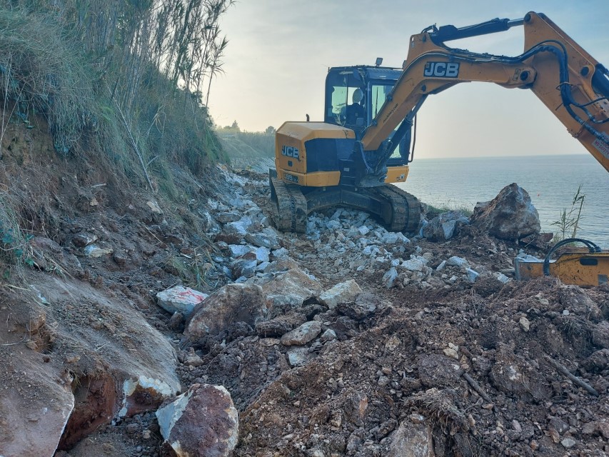 etnica, alberi, 28.11., 2_1