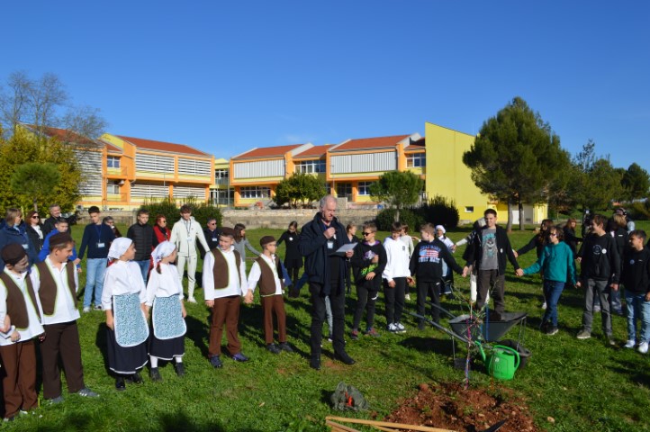 Sadnja masline.JPG, beseda