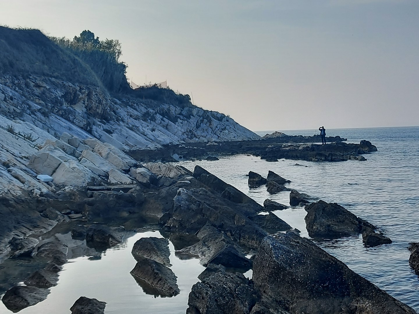 &Scaron;etnica Alberi