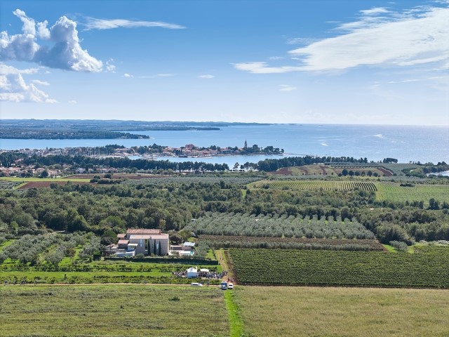 Wine & Walk by the Sea 3