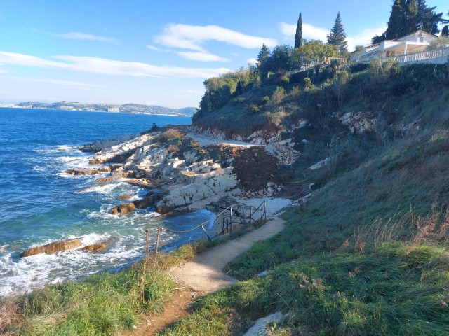 paretić, prije devastacije na alberima