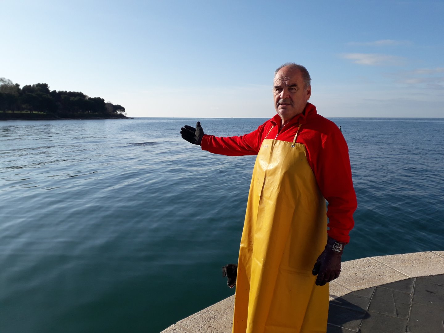 Promijenite prehrambene navike i pređite na zdravu morsku hranu