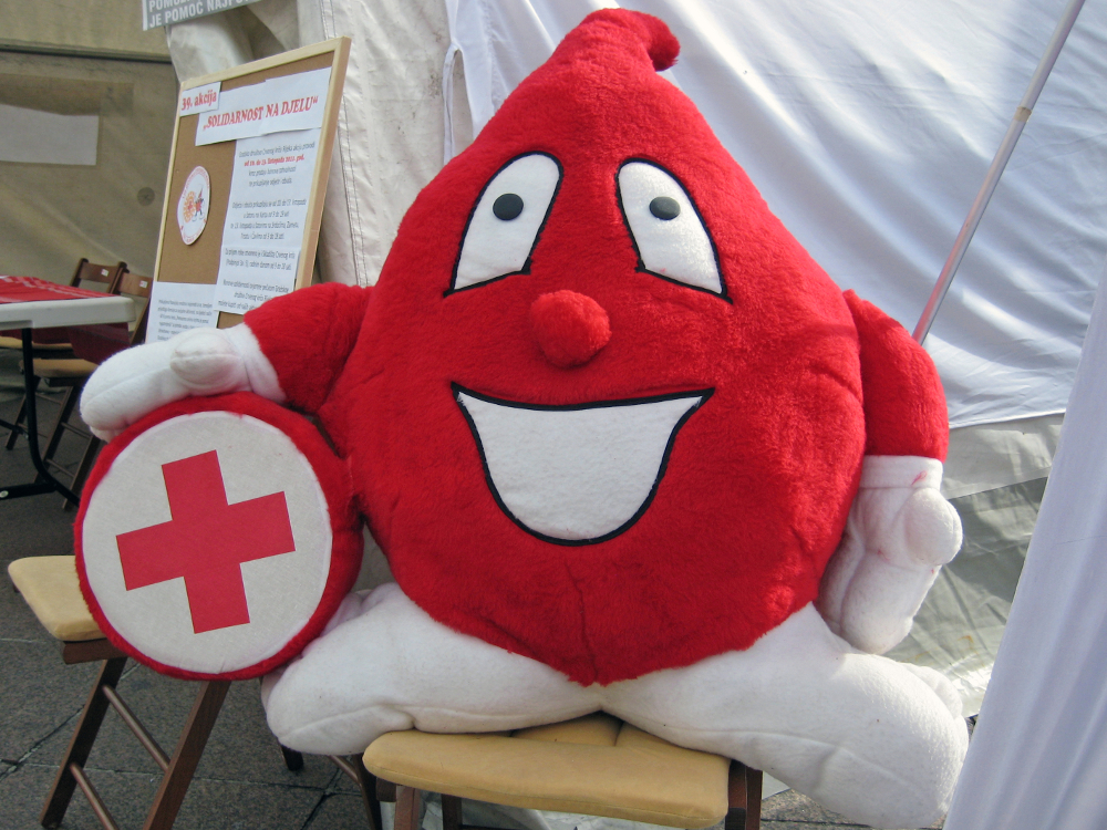 Povodom proslave Svjetskog Dana Crvenog križa