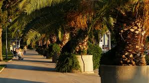 Jutros,još dvoje oboljelih u Istri