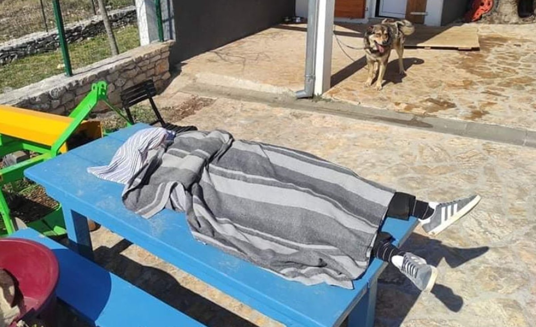 “Malo prilegao posli ručka” Slika muškarca koji je “ubio oko” oduševila ekipu