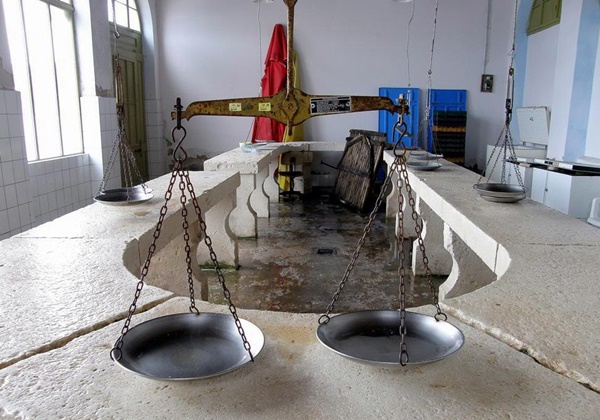 As ti miša ča je lipa naša peškarija!  