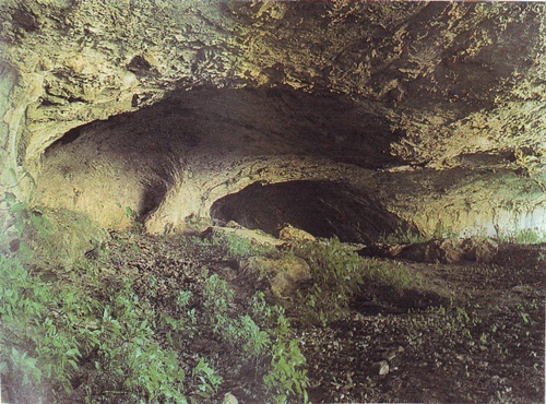 Neistražene čari podzemlja Bujštine