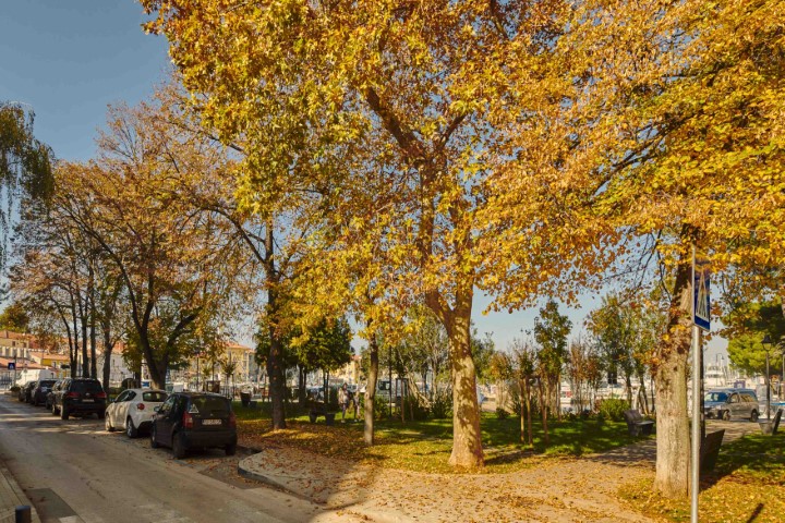 Doživite gastro Novigrad u bojama, mirisima i okusima jeseni