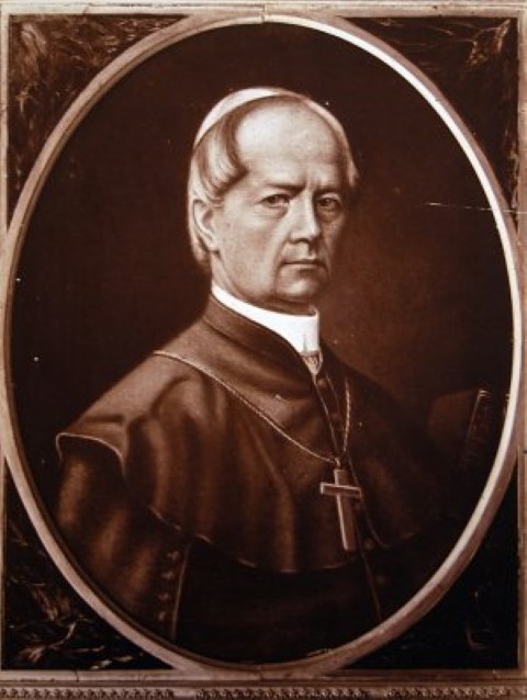 Juraj Dobrila između Poreča i Trsta: biskup koji je remetio planove talijanskih nacionalista