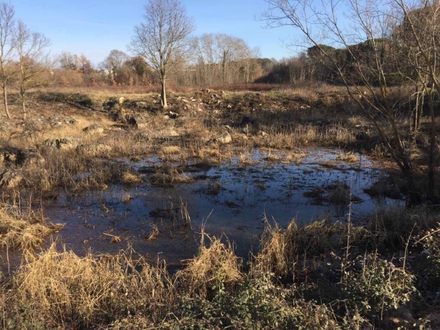 Institut za poljoprivredu i turizam u Poreču u središte stavio obnovu porečkih lokvi